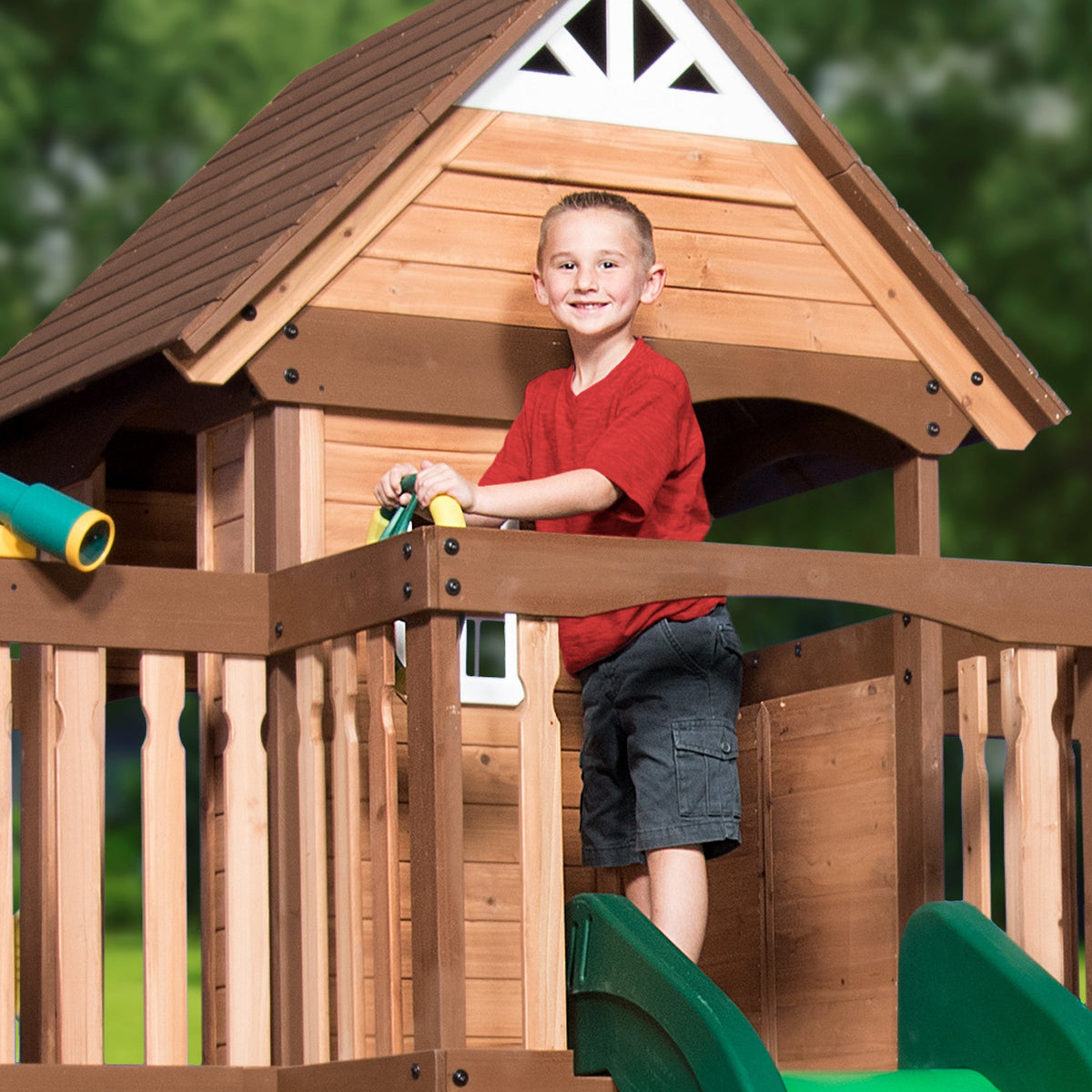 Mount Triumph Swing Set