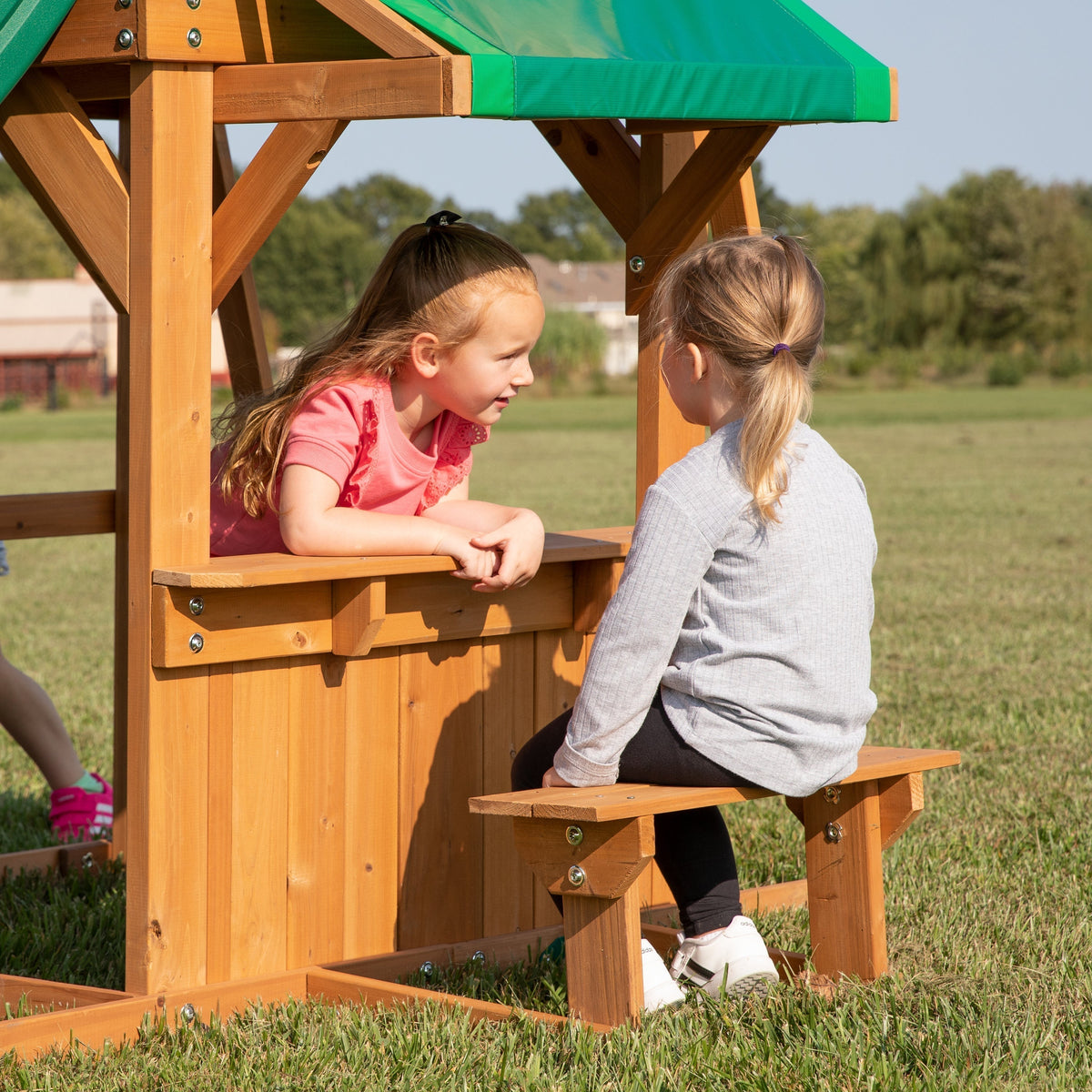 Dakota Ridge Swing Set